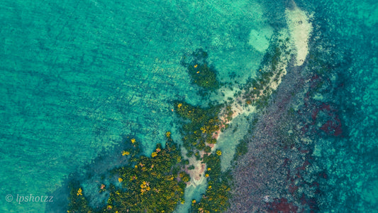 Earth Abstracts #2